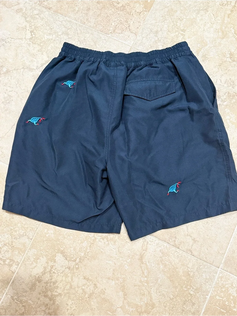 Parra navy swim